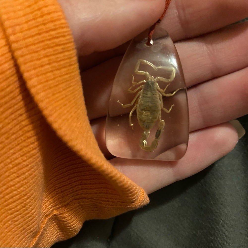 scorpion necklace